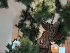 -桂满陇·蟹黄小笼汤包(中山公园店)