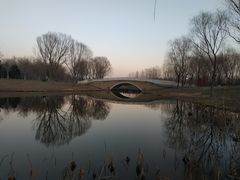-东郊湿地公园