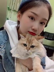 -镁连社·美联社