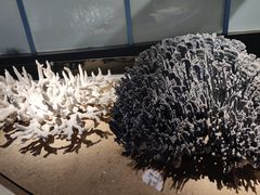 -中国（海南）南海博物馆