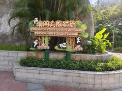 -石排湾郊野公园