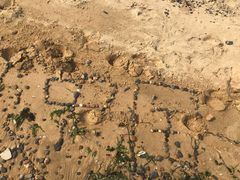 -张会海鲜饭店(东戴河店)