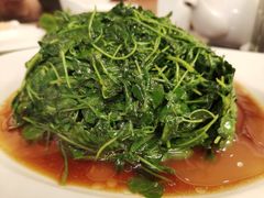 金花菜酒香-新聚丰菜馆(太监弄店)