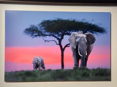 -罗红摄影艺术馆