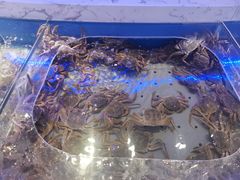 -澜悦港海鲜体验主题餐厅