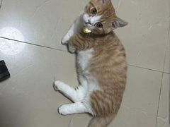 -瑞鹏宠物医院·骨科·猫科·内科(第一中心)