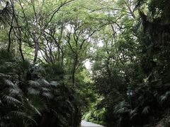 -蜀冈西峰生态公园