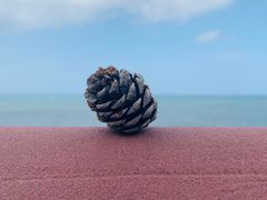 -龙头岩(Dragon Head Rock)