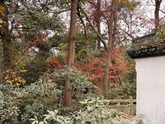 -宋宴(虎跑店)