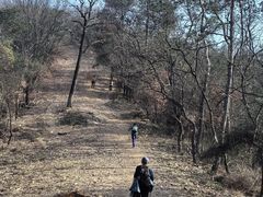 -青龙山国家森林公园
