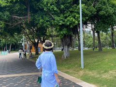 -宝安西湾红树林湿地公园