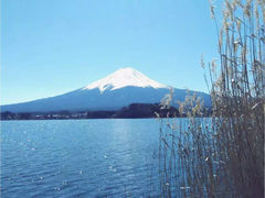-富士山吉田線五合目