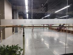 -舞蕾舞蹈(特长生校区)