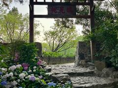 -无锡蠡湖国家湿地公园-蠡园