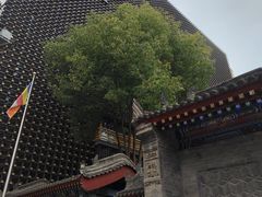 -罔极寺