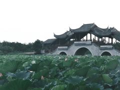 -上海海湾国家森林公园