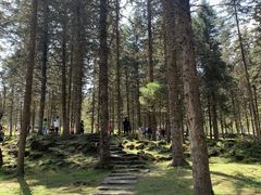 -硗碛藏寨·神木垒景区