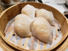 -四点金饭店(将军澳店)