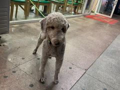 -山东大学(威海校区)