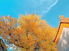 -黄瓦增福财神庙