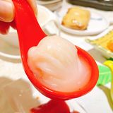 广州百年老店【荣华楼】得闲黎饮茶啦