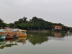 -海上田园