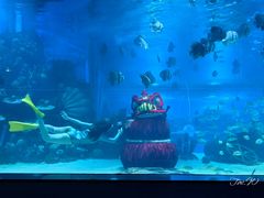 -顺德南宏海立方海洋公园