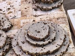 -云南木水花野生菌交易中心