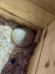 -酷嗒动物文化乐园(cutezoo西溪乐天城店)