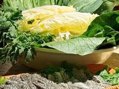 -百草滩羊清水涮羊肉·清真·宁夏盐池滩羊(莲花桥店)