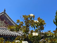 -刘公岛景区