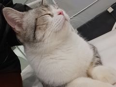 -极木²邸 人与宠物·互动社区