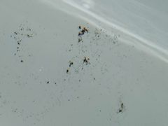 -苏州吴中白金汉爵大酒店
