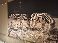 -城际上海虹桥机场酒店