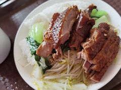 -真豪佳(万达店)