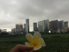 -龙环葡韵住宅式博物馆