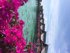 卡帕莱水上屋度假村-卡帕莱度假村(西巴丹岛)