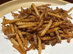 -滇野云南野生菌餐厅(陕西南路店)