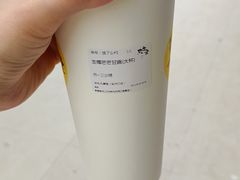 生椰芒芒甘露-丸摩堂鲜果茶(万年场店)