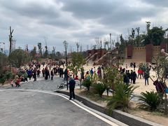 -枫香湖儿童公园