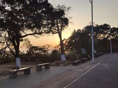 -梧桐山风景名胜区