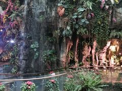 -正佳雨林生态植物园