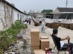 -苏州市吴中区光福窑上花果蜜饯厂