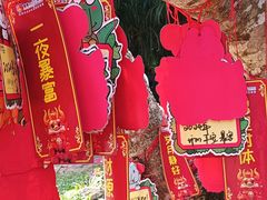 -海南热带野生动植物园