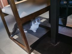 -IFIF 如果花園(宽厚里店)
