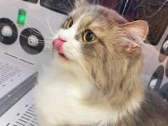 -FAELING PETS美天灵宠物(富力广场店)