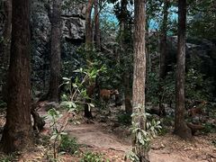 -浙江自然博物院(杭州馆)