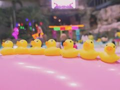 -杭州开元森泊度假乐园