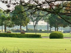 -旭宝高尔夫俱乐部