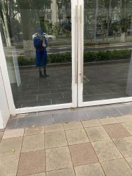 体验后-大麦微针植发丨全国连锁